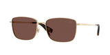 Light Gold - Black chocolate