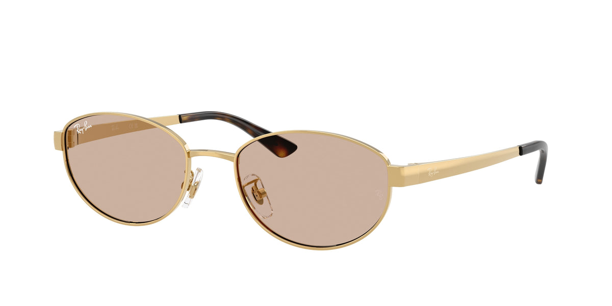 Ray-Ban RB3774D Sunglasses - Arista gold - Light brown