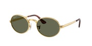 Arista gold / Polarized green / 