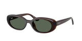 Transparent Brown / Dark green