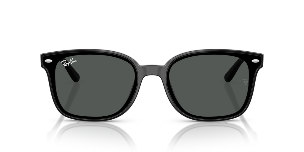 Ray-Ban RB4461D - Black / Dark grey - front view [601/87]