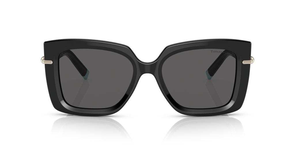 Tiffany & Co. TF4199 - Black / Dark grey - front view - 8001S4