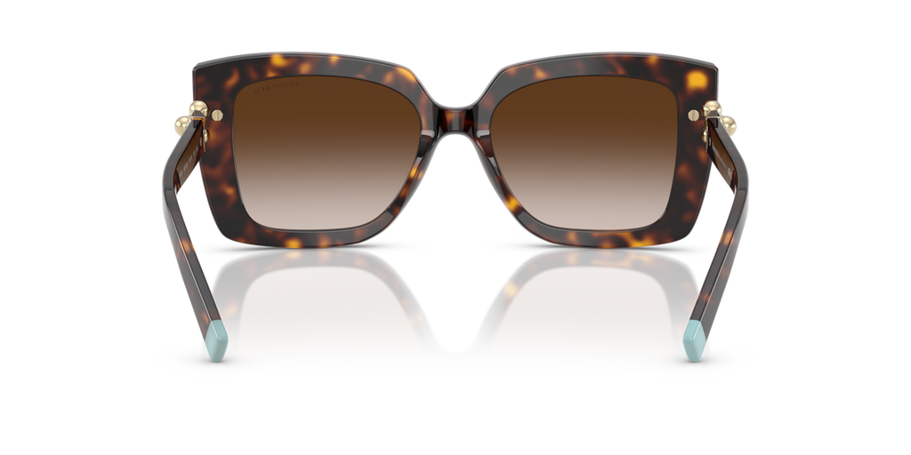 Tiffany & Co. TF4199 - Havana / Brown gradient - rear view - 80153B