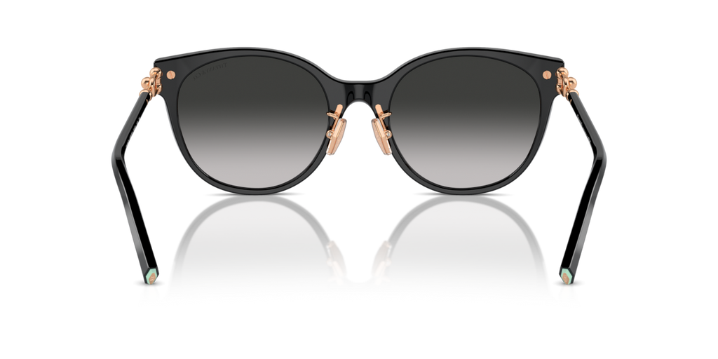 Tiffany & Co. TF4223D - Black / Grey gradient - rear view - 80013C