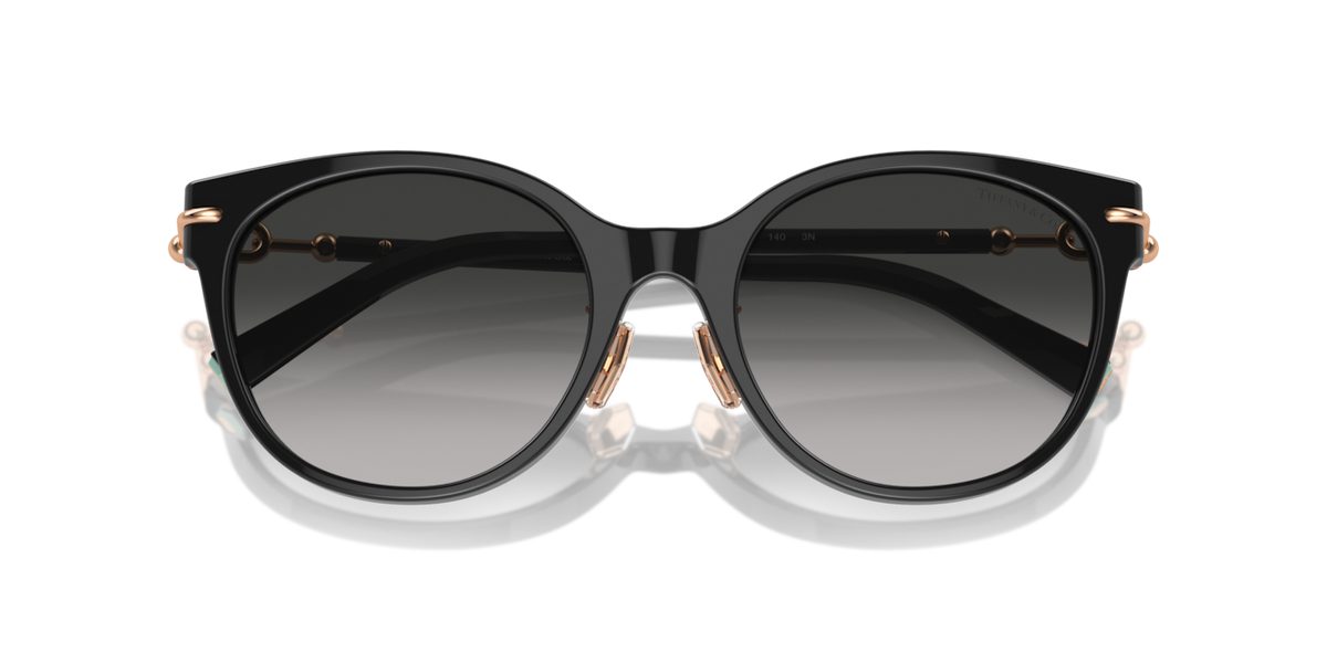 Tiffany & Co. TF4223D - Black / Grey gradient - folded front view - 80013C