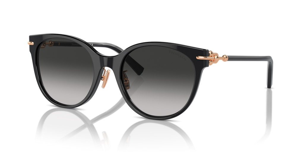 Tiffany & Co. TF4223D - Black / Grey gradient - three-quarter view - 80013C