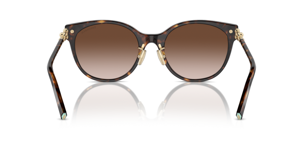 Tiffany & Co. TF4223D - Havana / Brown gradient - rear view - 80153B