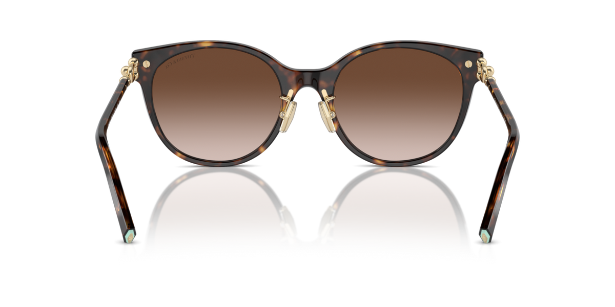 Tiffany & Co. TF4223D - Havana / Brown gradient - rear view - 80153B