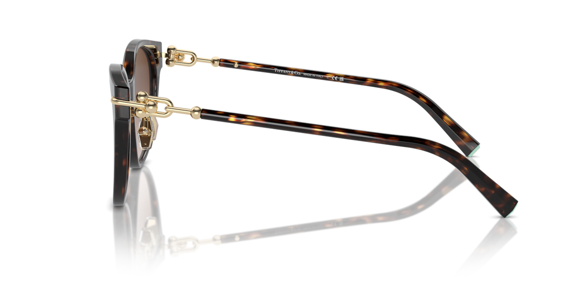 Tiffany & Co. TF4223D - Havana / Brown gradient - side view - 80153B