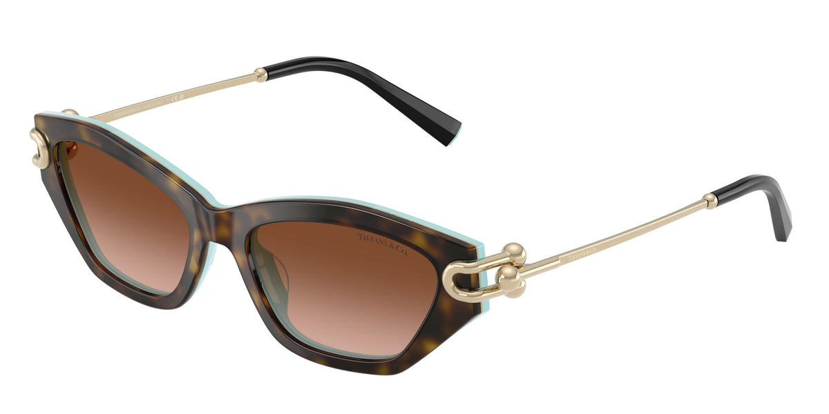 Tiffany & Co. TF4231U — Havana on tiffany blue / Brown gradient — 81343B