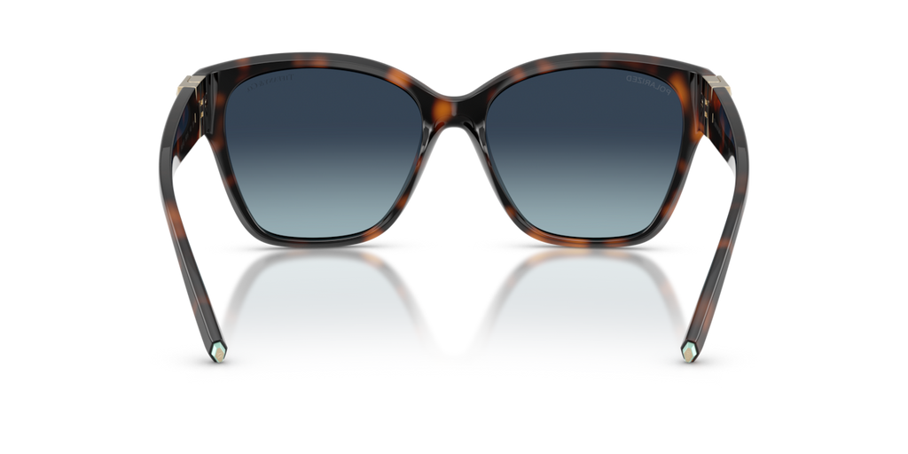 Tiffany & Co. TF4254U - Havana / Azure gradient blue polarized - rear view - 84554U