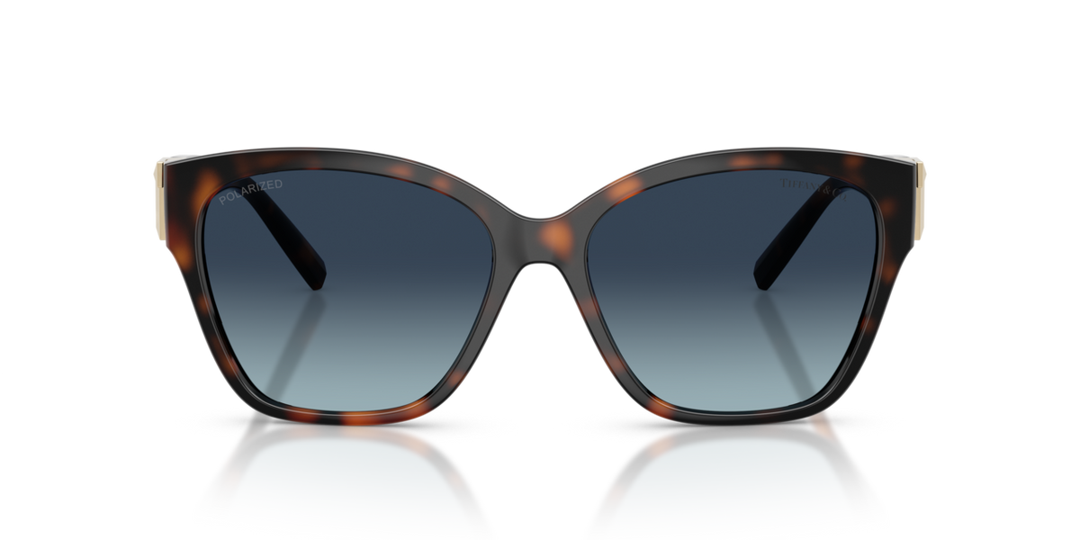 Tiffany & Co. TF4254U - Havana / Azure gradient blue polarized - front view - 84554U