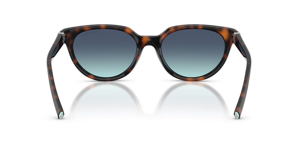 Tiffany & Co. TF4256D - Havana / Azure gradient blue - rear view - 80159S