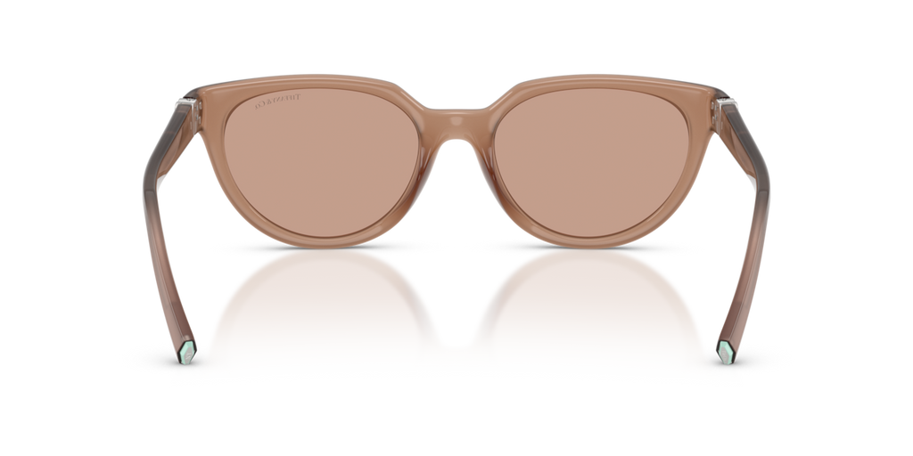 Tiffany & Co. TF4256D - Coca cola sapphire / Brown - rear view - 844973