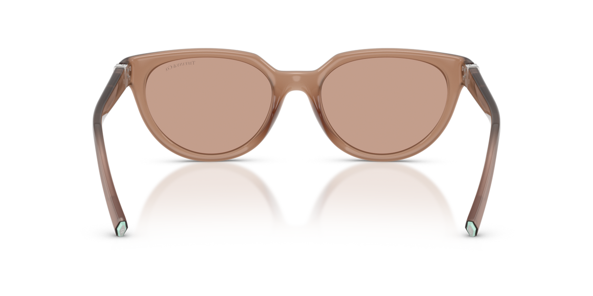 Tiffany & Co. TF4256D - Coca cola sapphire / Brown - rear view - 844973