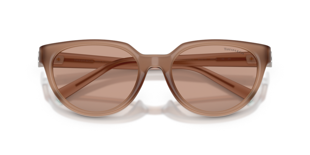 Tiffany & Co. TF4256D - Coca cola sapphire / Brown - folded front view - 844973