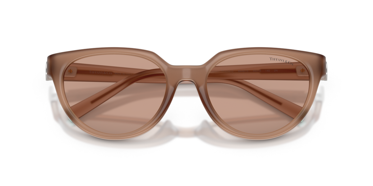 Tiffany & Co. TF4256D - Coca cola sapphire / Brown - folded front view - 844973