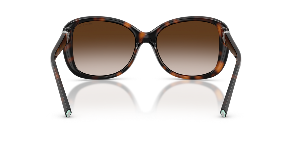 Tiffany & Co. TF4257U - Havana / Brown gradient - rear view - 80153B