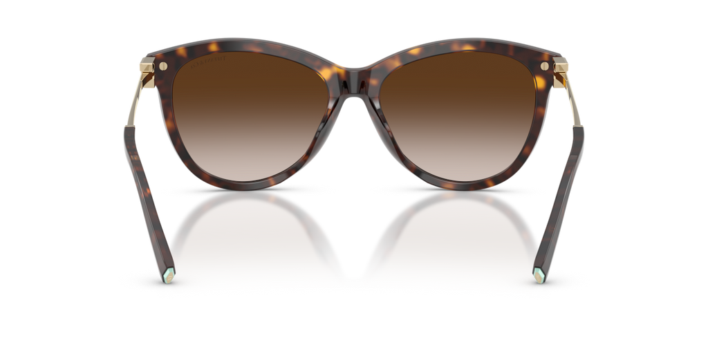 Tiffany & Co. TF4258BU - Havana / Brown gradient - rear view - 80153B