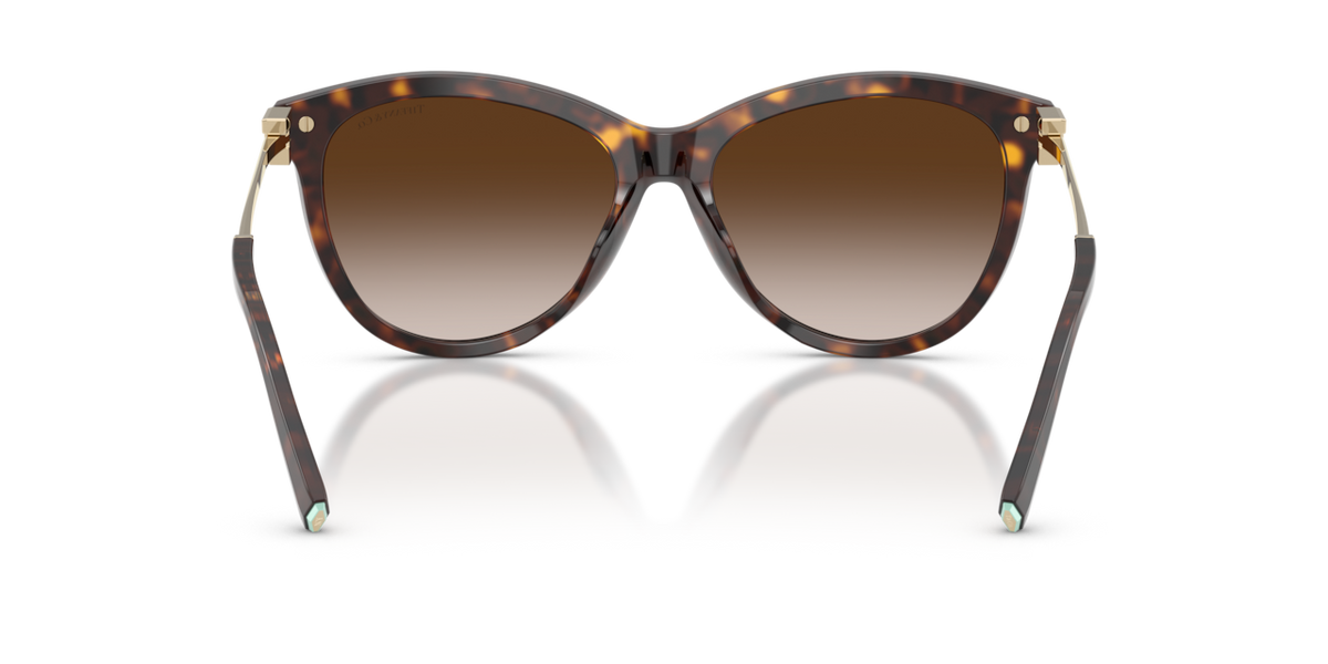 Tiffany & Co. TF4258BU - Havana / Brown gradient - rear view - 80153B
