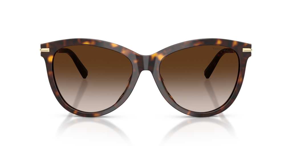 Tiffany & Co. TF4258BU - Havana / Brown gradient - front view - 80153B