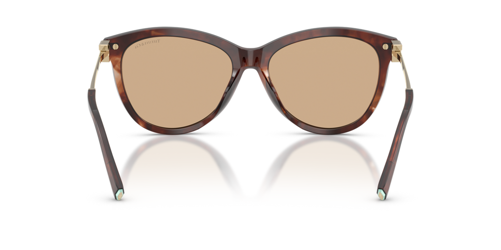 Tiffany & Co. TF4258BU - Spotted brown havana / Light yellow - rear view - 8421/8