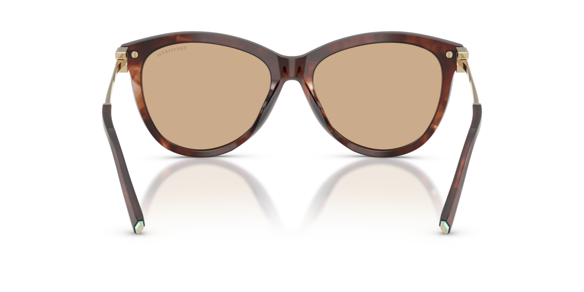 Tiffany & Co. TF4258BU - Spotted brown havana / Light yellow - rear view - 8421/8