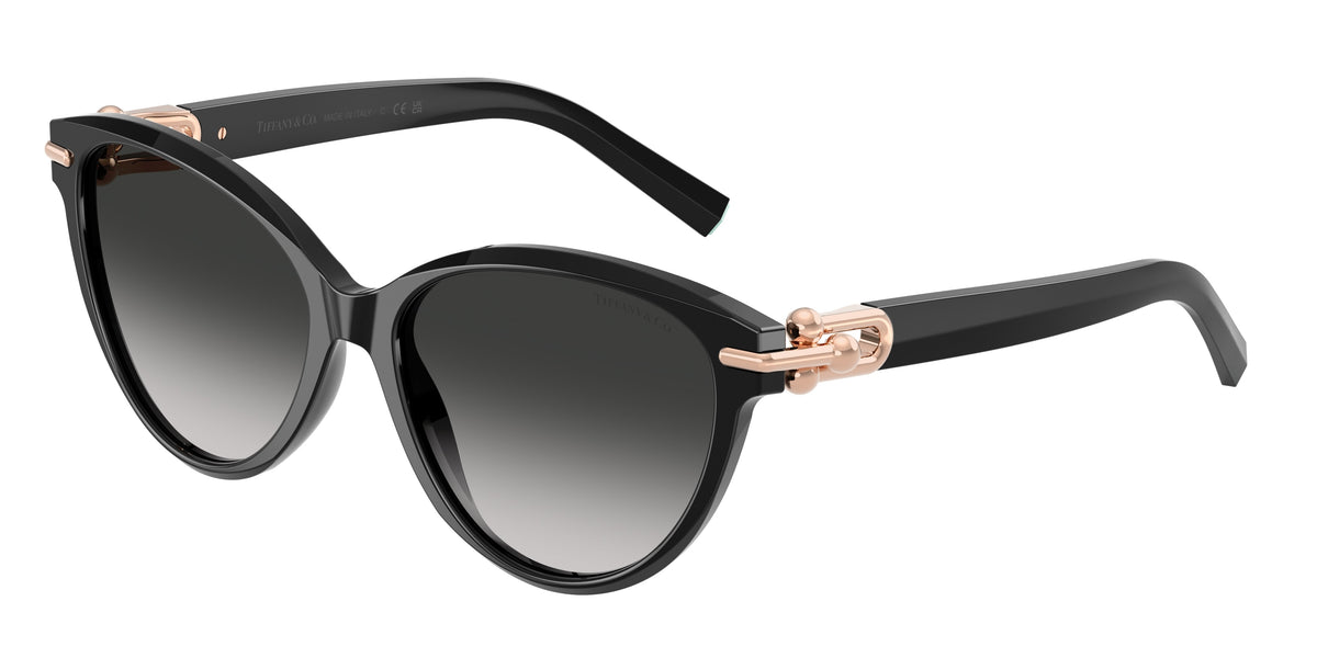 Tiffany & Co. TF4261F — Black / Grey gradient — 80013C