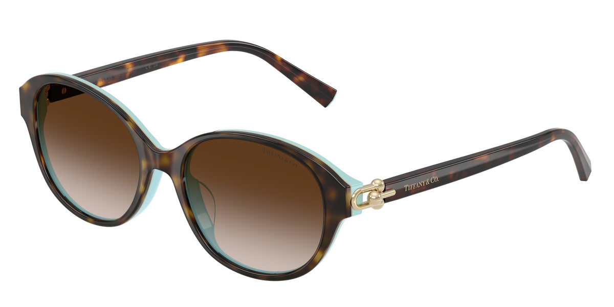 Tiffany & Co. TF4263D — Havana on tiffany blue / Brown gradient — 81343B