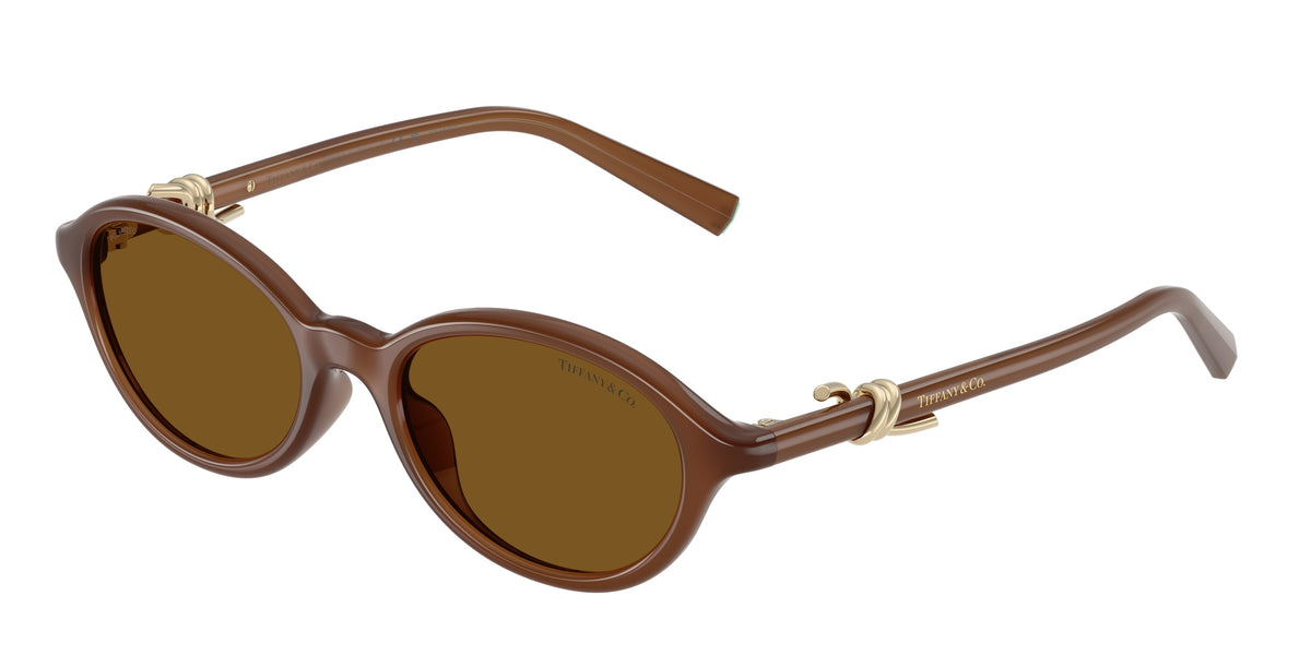 Tiffany & Co. TF4266U — Transparent honey / Dark brown polarized — 847183