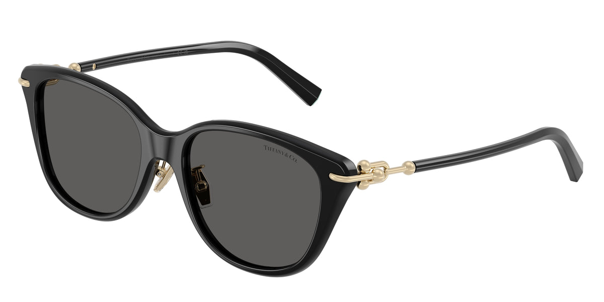 Tiffany & Co. TF4267F — Black / Dark grey — 8001S4