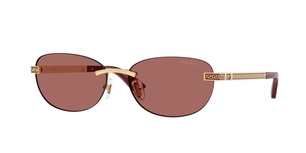 Versace VE2307 — Gold versace / Dark violet — 152369