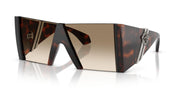 Tortoise / Light Yellow Gradient Brown / 